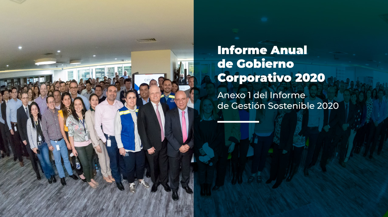 Informe Anual de Gobierno Corporativo 2020