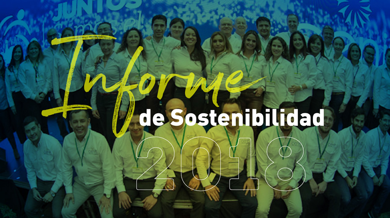 Informe de Sostenibilidad Cenit 2018