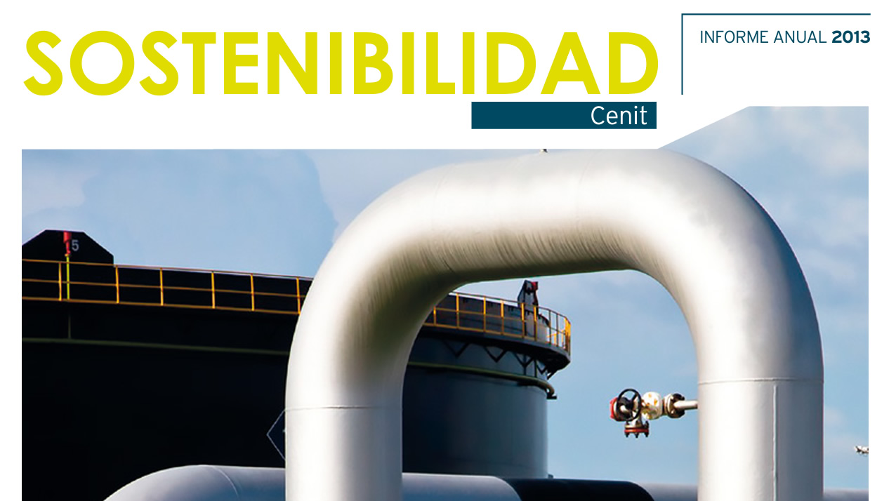 Informe de Sostenible 2013